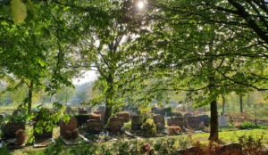Grafstenen op de begraafplaats in Almere